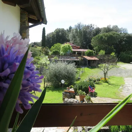 Сasa de vacaciones Casa Vacanze Wild Rose