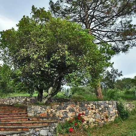 Casa Vacanze Wild Rose