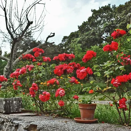 Casa Vacanze Wild Rose Сasa de vacaciones Lerici