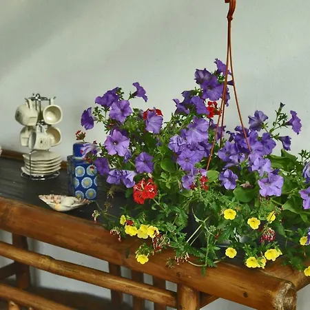 Casa Vacanze Wild Rose * Lerici